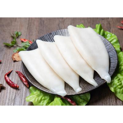 China NATURE'S Best-selling Export Nutritious Frozen Giant Squid Fillets for sale