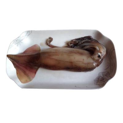 China NATURE the frozen Indian squid of the best total price for sale