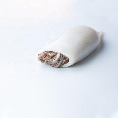 China Good Price Nutritious Sea T+T Frozen Squid Tube for sale