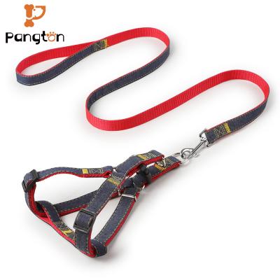 China Stocked Rope Dog Collar Pet Supplies Fashion Leather Pet Forming Adjustable Collar Protector Set and Custom Leashes for sale