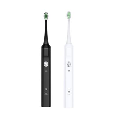 China IPX7 Electric Toothbrush Waterproof 600mAh Smart Rechargeable Sonic Rechargeable Ultrasonic Vibrating Automatic Toothbrush for sale