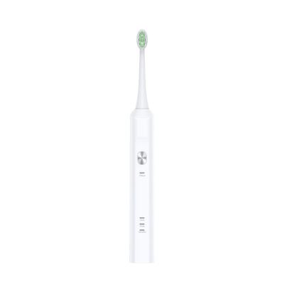 China Teeth Cleaning Replacement Electric Toothbrush Heads Rotation Oral Inductive Rechargeable Electric Toothbrush for sale