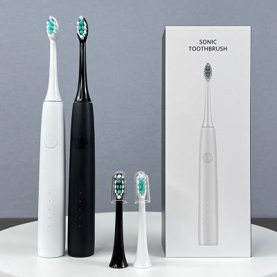 China Usb Manufacturer Direct Travel Electric Toothbrush Care Sonic Rechargeable Oral Device 600mAh for sale