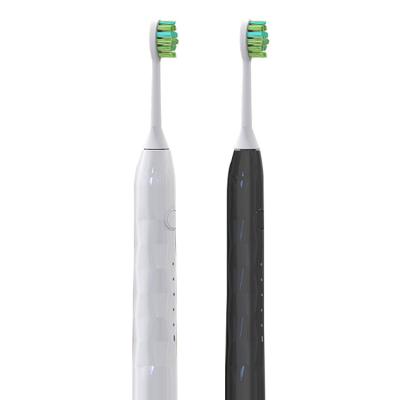 China Teeth Cleaning Food Grade IPX7 Waterproof Rechargeable Sonic Rechargeable Ultrasonic Vibrating Automatic Toothbrush for sale