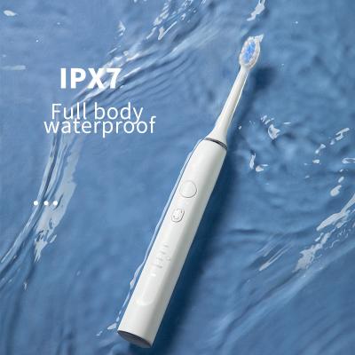 China Wholesale Customized Waterproof Cordless IXP7 Induction Charging Sonic Electric Toothbrush 600mAh Auto Memory 4 Modes Cleaning for sale