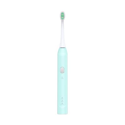 China Dupont Smart Sonic Whitening Teeth Cleaner Brush Rechargeable Silent Electric Toothbrush for sale