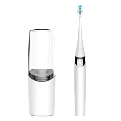 China Type-c Soft Nylon Sonic Rechargeable Electric Toothbrush Waterproof Oral Adult Battery Dupont Soft Electric Toothbrush IPX7 for sale