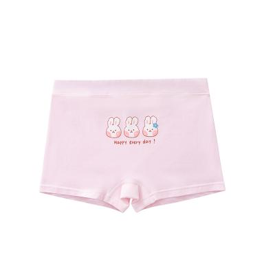 China Hot Selling Cotton Breathable Soft Breathable Comfortable Boxers Kids Underwear For Girls for sale