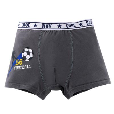 China Color Fade Proof High Quality Breathable Cotton Boxers Young Boys Comfortable Casual Underwear for sale