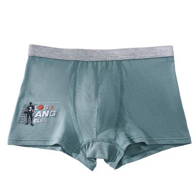 China Color Fade Proof New Arrival Comfortable Breathable Cotton Young Boys Casual Underwear Boxers for sale