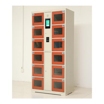 China Smart Locker Self Service Supermarket Lockers 12 Doors Smart Parcel Locker for sale