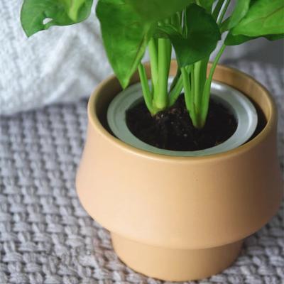 China Nordic style Ceramic flower pot Nordic style round small potted plant succulent flower pot creative irregular home decoration for sale