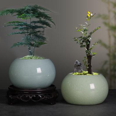 China Chinese classical Bodhi potted flower pot ceramic office four seasons evergreen green plant flowers pot for sale