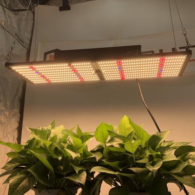 China Hot Sale 240W Epistar 660nm 288 Full Board Dimming Spectrum 3000K 3500K Led Grow Light UV IR for sale