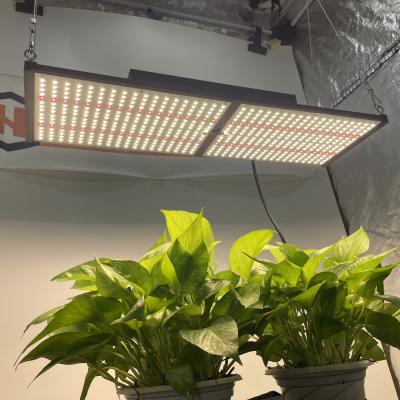 China Dimming Control HonLIGHT 240W LM301H With Epistar 660nm Grow Led Light Factory for sale