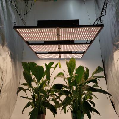 China Hydroponic Control HonLIGHT Shenzhen 720w Multi Spectrum Dimming Led Grow Light for sale