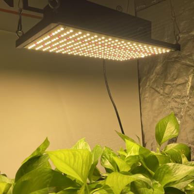 China Dimming Control HonLITH 120w High Ppfd lm301b lm301h Led Grow Light Spectrum for sale