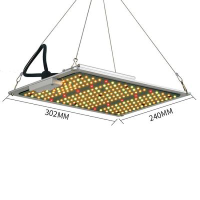 China High Quality Indoor LED Grow Light Full Spectrum LED Grow Light 5 Years Warranty 300*240*56 mm for sale