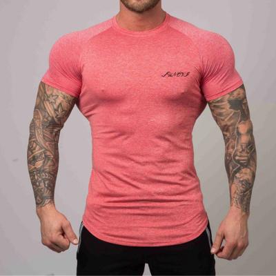 China Custom slim fit Anti-wrinkle t-shirt for men workout fitness t shirtfor gym wear for sale