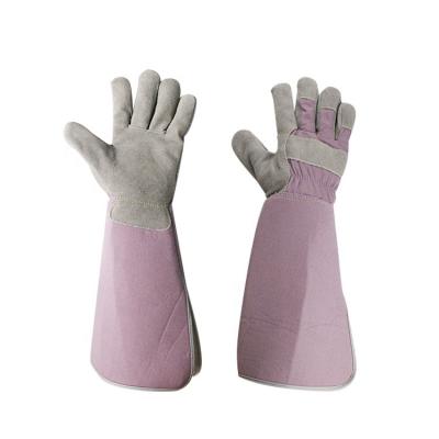 China Long Style Durable Cow Split Leather Women Rose Gardening Farm Working Cut Out Protection Gloves for sale