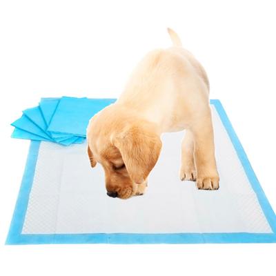 China Wholesale Free Sample Cheap Price Plain Weave Disposable Puppy Under Protective Dog Urine Pad Pet Protection for sale