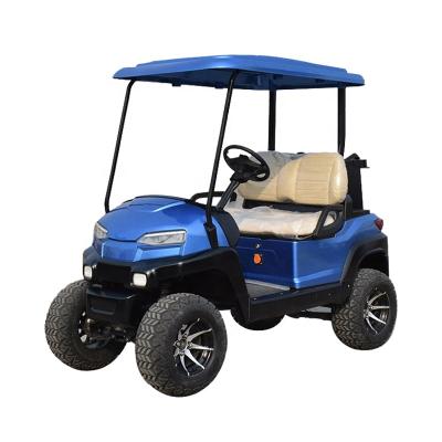 China New Model Metal+Plastic Raysince 2 Seat Golf Cart Electric Golf Carts Wholesale for sale