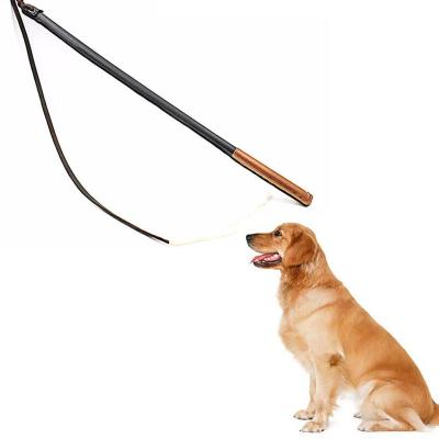 China Viable Hot Selling Professional Dog Training Stick Whip Agitation Stick For Dog for sale