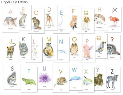 China High quality collection and decoration customize popular watercolor illustration A to Z alphabet animal flash cards for sale