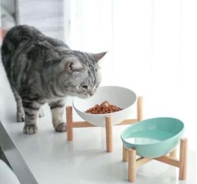 China New Design Automatic 15 Degree Tilted Cute Face Raised Double Food Water Bowl Pet Transparent Plastic Expanded Dishes for sale