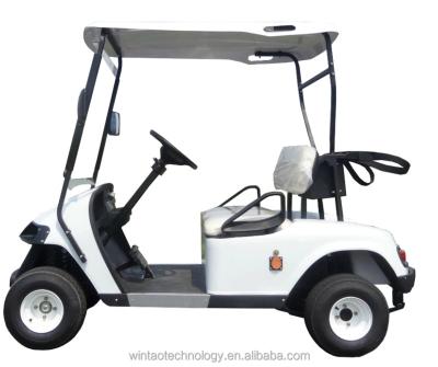 China Wintao Mini Electric 4 Seater Low Speed ​​48V Lithium Battery Buggy Golf Carts 12 Inch for sale