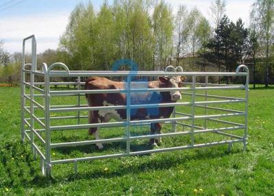 China Galvanised Portable Livestock Fence Panels , Steel Tube  Horse Fence Panels For Dairy Farm for sale