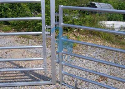 China Galvanized Steel Movable Cow Corral Fence Panels‎ For Rearing Calves for sale