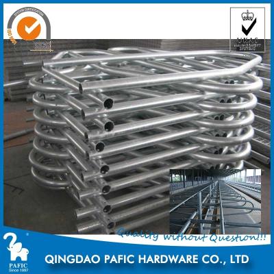 China Hot-Dip Galvanized Steel Tube Cattle Free Stall For Dairy Farm 4m Length for sale