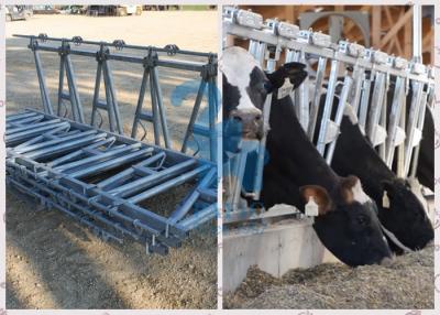 Chine Poudre de alimentation durable de barrière de serrure de tête de chèvre d'équipement enduite à vendre