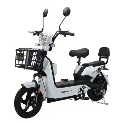 China 2023 Steel Frame+Plastic Cover China Factory Various E Bikes Electric Scooter Factory Cheap Electric Bicycle Motorcycle for sale