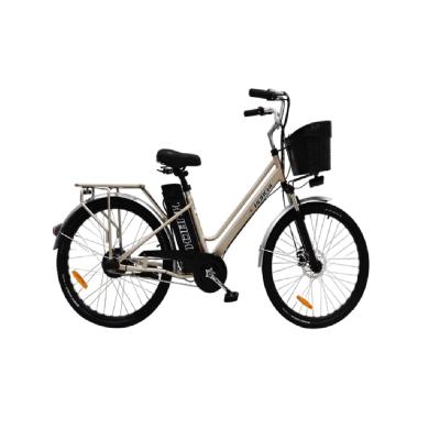 China 2023 new design aluminum alloy e bike china manufacturer customized 10Ahelectric bicycle 36V/48V 250W/350W/500W mountain electric bicycle for sale