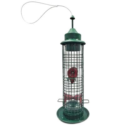 China Amazon Hotselling Automatic Squirrel Proof Bird Feeder For Wild Bird for sale