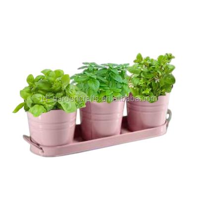 China Green Metal Field Vegetable Garden Herb Planter Pots Eco - Friendly for sale