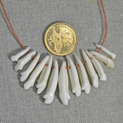 China YZ003 Vintage Style Fake Tibetan Wolf Tooth Beads Jewelry Accessories Wholesale Natural DIY Bead Tooth Beads For Jewelry Making for sale