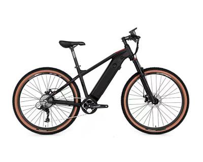 China Aluminum Alloy 500W 48V 10Ah 29Inch 9 Speed ​​Electric Mountain Bike for sale