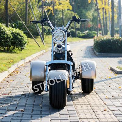 China 1000w 60v 12ah/20ah fat tire 3 wheel portable citycoco 2 battery electric scooter/electric tricycle 18*9.5inch for sale