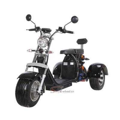 China 3 wheel electric scooter citycoco EEC motorcycle 10 inch fat wheel citycoco 2000w door to door electric tire for sale