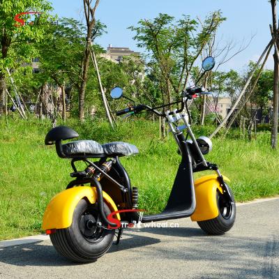 China Citycoco Electric Scooter 1000W 1500W 2000W 2 Wheel Unisex Electric Scooter with Removable Lithium Battery for sale