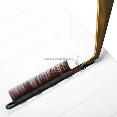 China Korean Hand Made Pbt Volume Eyelash Extensions Easy Fan High Quality Individual Private Label Ultralight Weight 0.03 for sale