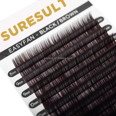 China Classic Faux Mink Individual Lashes Supplies Private Label Weight PBT Cashmere Eyelash Extension Korean Custom Volume Lash Trays Ultralight for sale