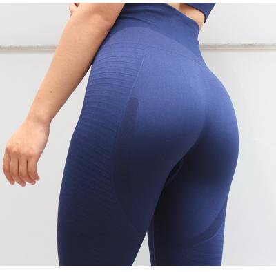 China Amazon Sports Fitness Yoga Pants Breathable Warm Breathable Gym Pants Women's High Waist Yoga Gaiters for sale