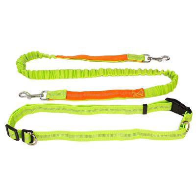 China Stocked Reflective Pet Running Stretch Leash Pet Leash And Collar Rope for sale