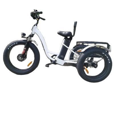 China Cargo lithium battery and motor kit 3 Wheel 500W 800W Hub Motor Electric Tricycle for sale