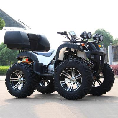 China All-Terrain Off-Road  Automatic Gas Motorcycle Mountain ATV Four-Wheel Beach Buggy For Adult 10 inch iron tire for sale