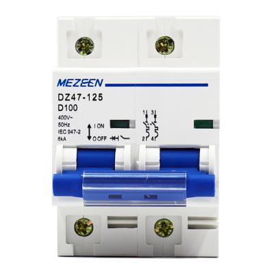 China New Design MCB-DZ125 2 Pole Electrical Circuit Breaker OEM MCB Circuit Breaking for sale